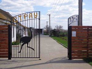 4775168 Страус — ЮГ.jpg