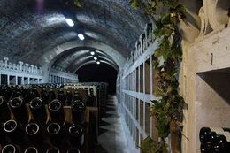 ГП ЗШВ «Новый свет»