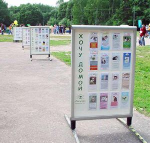 1012810 Пёсикот.jpg